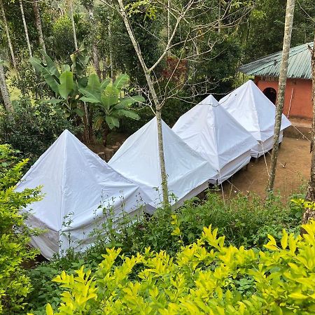 Wayanad Plantation Tent Stay And Swimming Pool Dış mekan fotoğraf