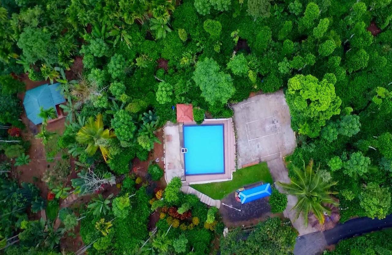 Wayanad Plantation Tent Stay And Swimming Pool Dış mekan fotoğraf