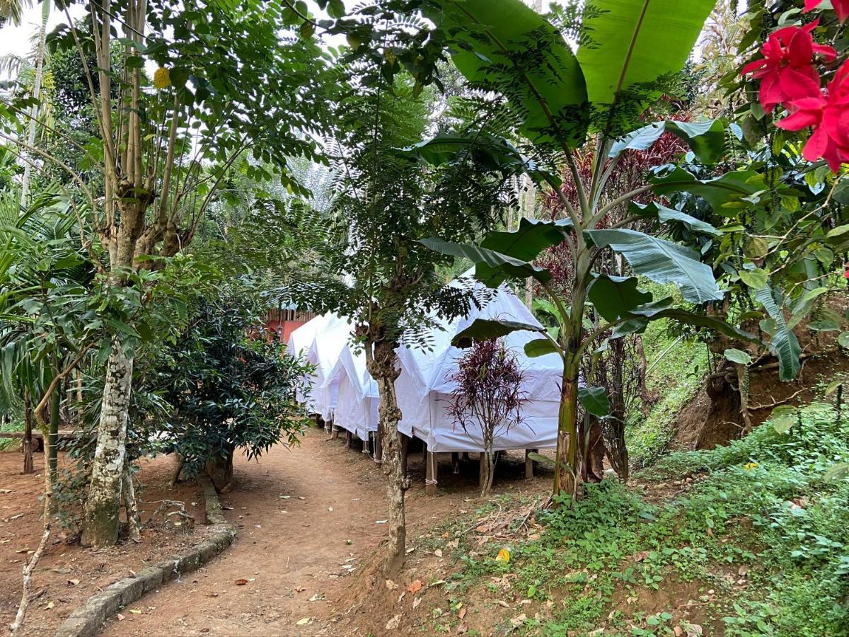 Wayanad Plantation Tent Stay And Swimming Pool Dış mekan fotoğraf