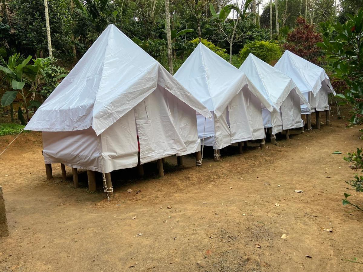 Wayanad Plantation Tent Stay And Swimming Pool Dış mekan fotoğraf