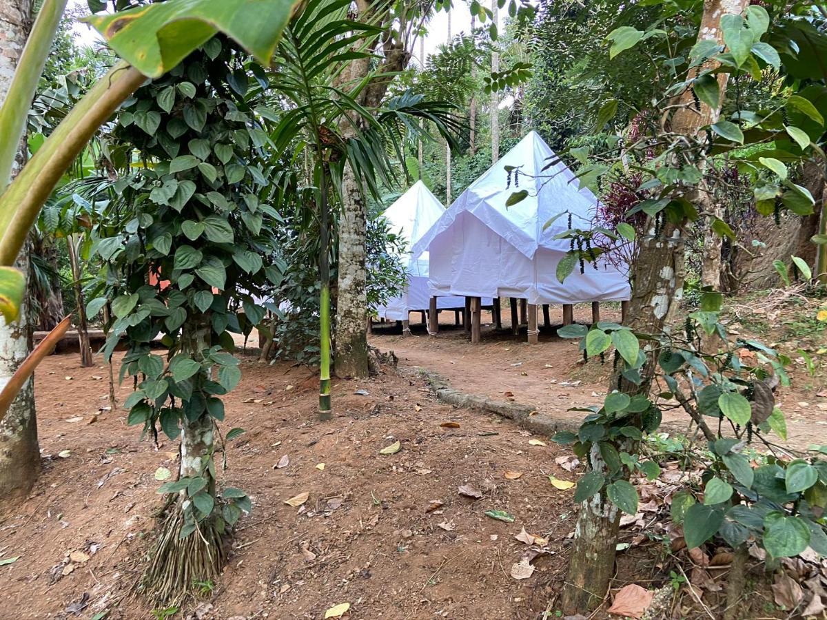 Wayanad Plantation Tent Stay And Swimming Pool Dış mekan fotoğraf