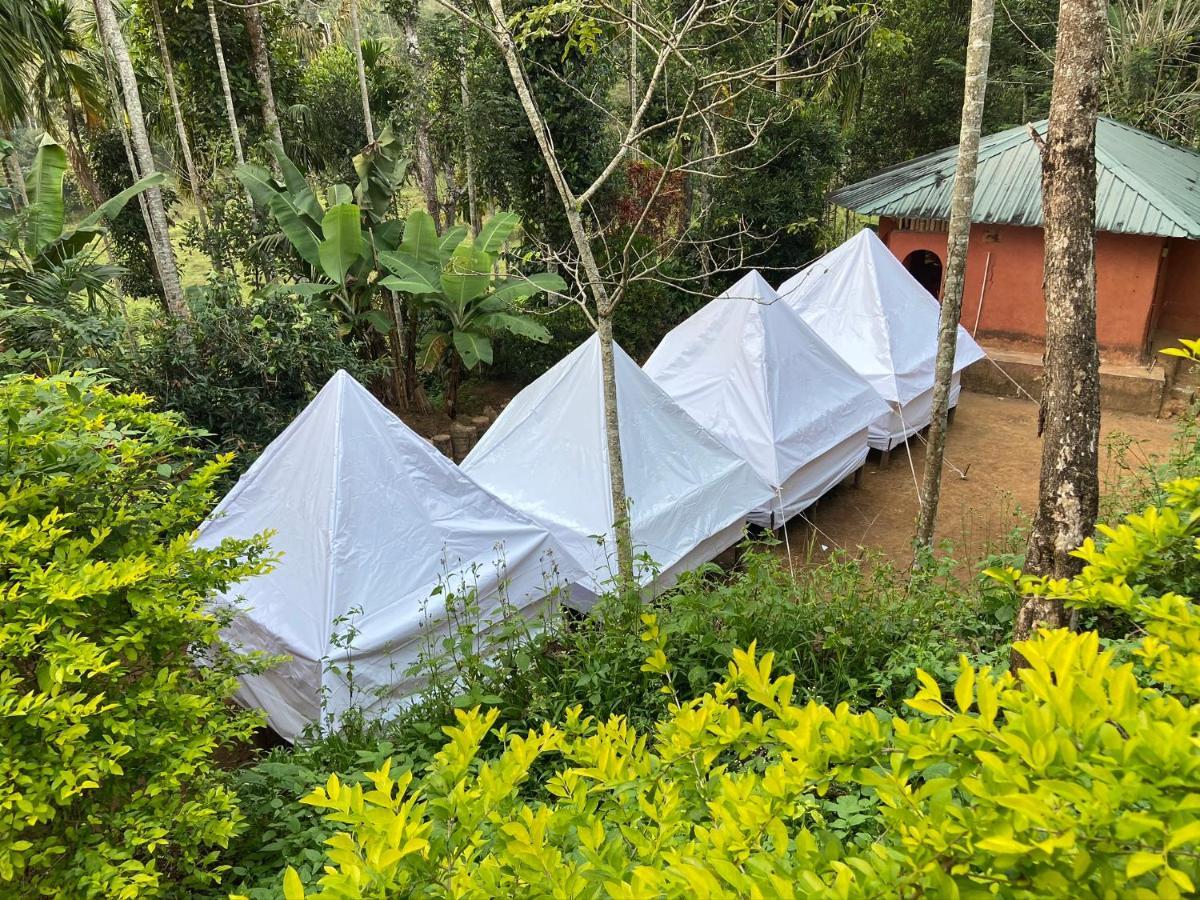 Wayanad Plantation Tent Stay And Swimming Pool Dış mekan fotoğraf