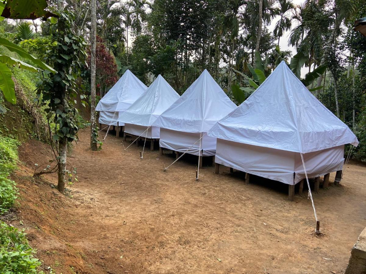 Wayanad Plantation Tent Stay And Swimming Pool Dış mekan fotoğraf