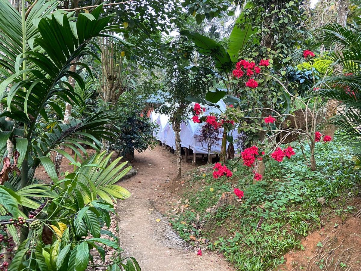 Wayanad Plantation Tent Stay And Swimming Pool Dış mekan fotoğraf