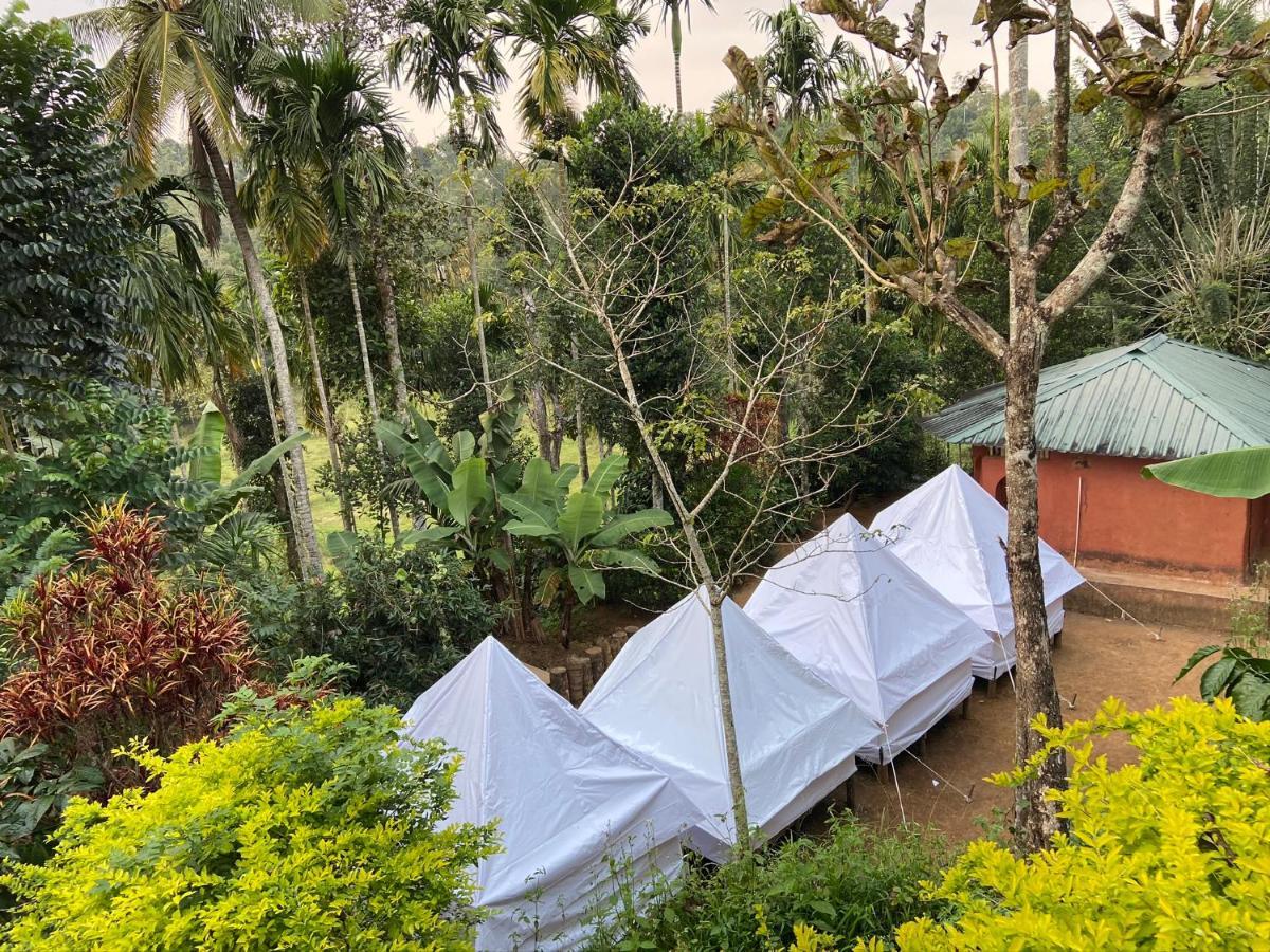 Wayanad Plantation Tent Stay And Swimming Pool Dış mekan fotoğraf