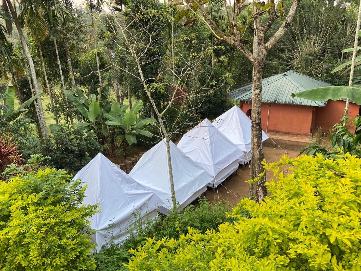 Wayanad Plantation Tent Stay And Swimming Pool Dış mekan fotoğraf